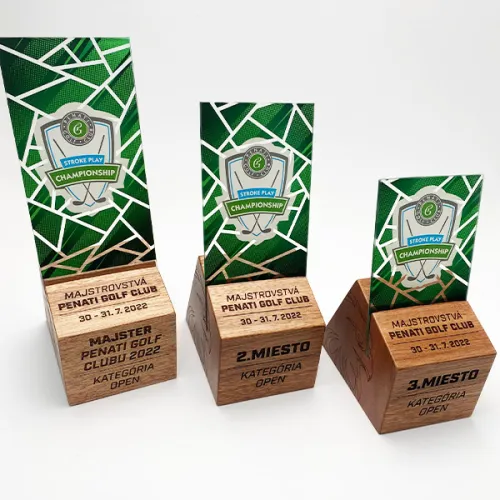 Dřevěná trofej kostka s plexi