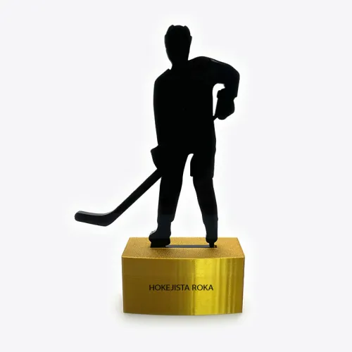 Sportovní trofeje - hokej