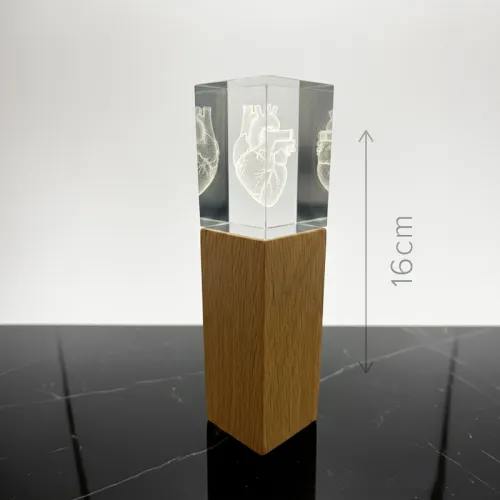 Trofej 3D gravírování